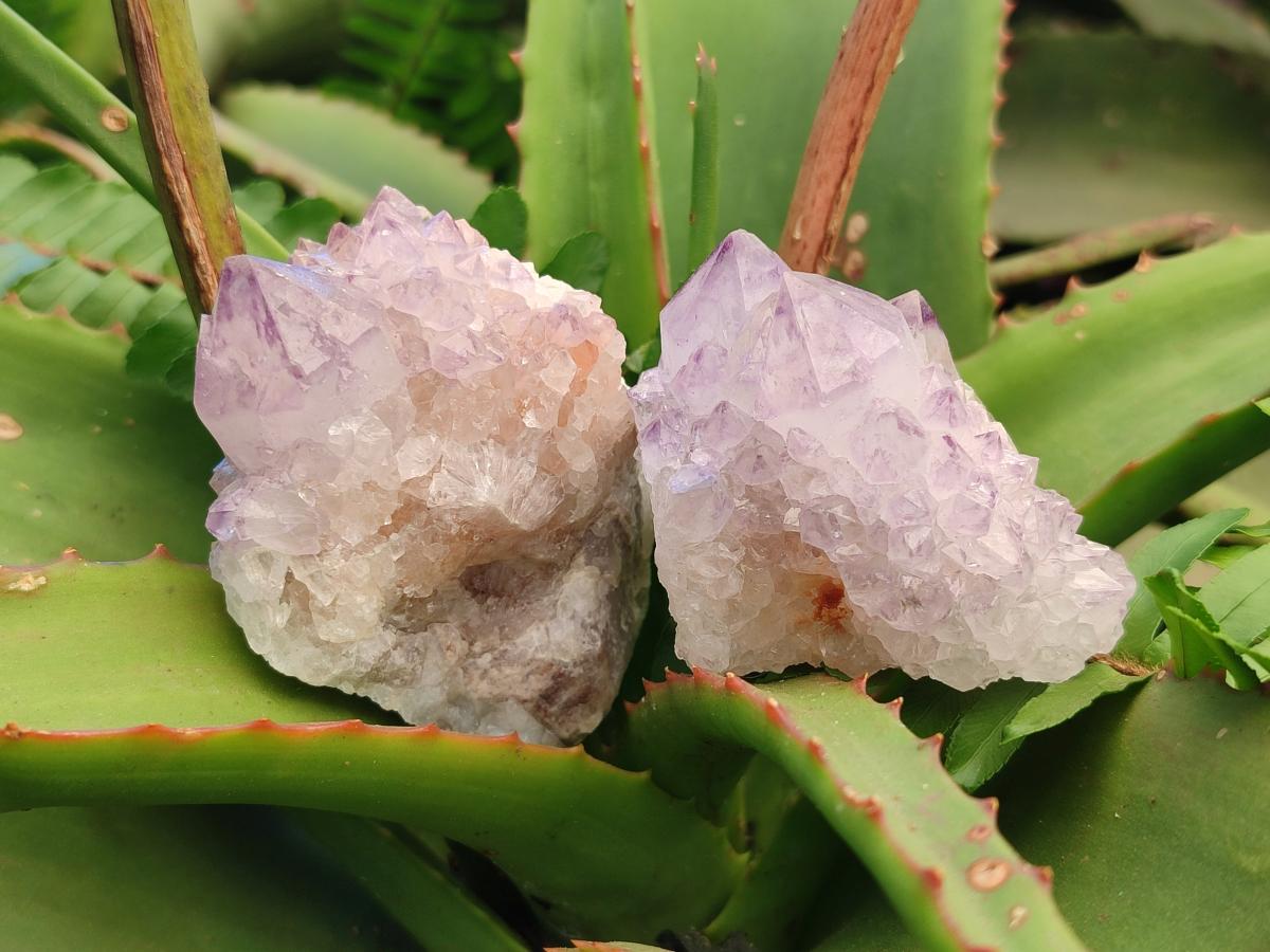 Natural Spirit Amethyst Clusters x 12 From Boekenhouthoek, South Africa - Toprock Gemstones and Minerals 
