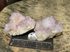 Natural Spirit Amethyst Clusters x 12 From Boekenhouthoek, South Africa - Toprock Gemstones and Minerals 