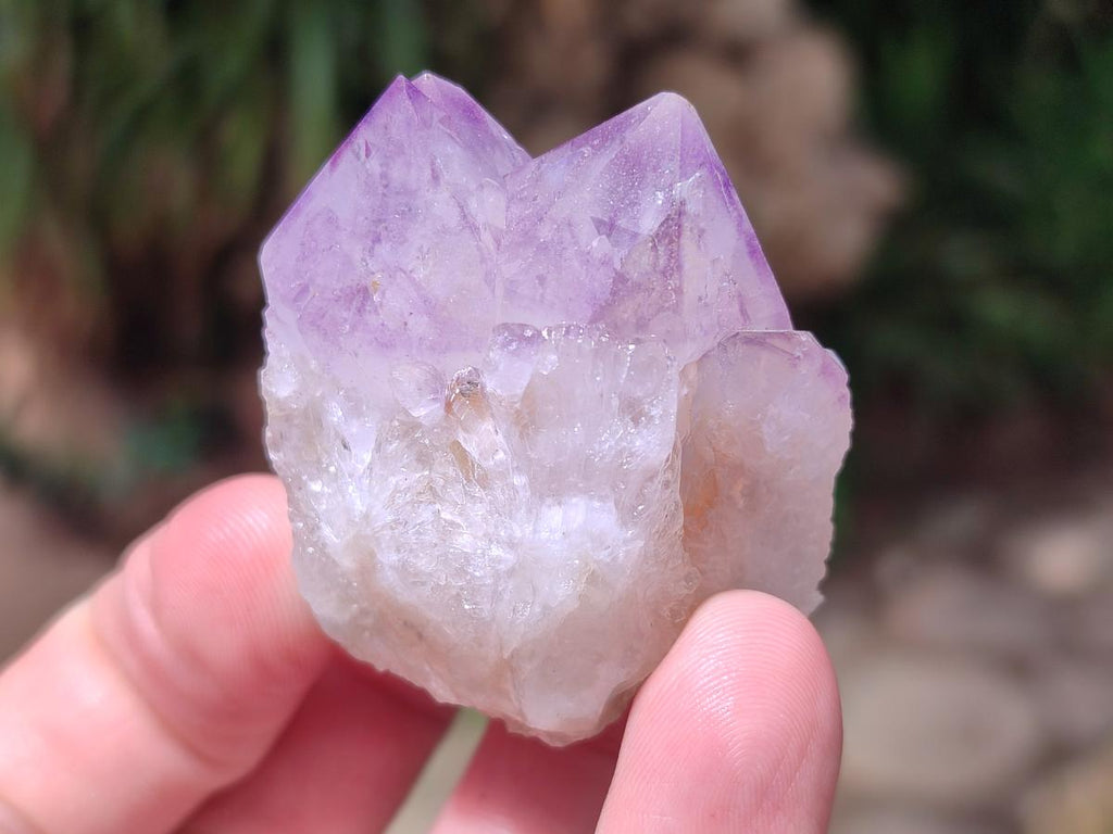 Natural Spirit Amethyst Clusters x 12 From Boekenhouthoek, South Africa - Toprock Gemstones and Minerals 