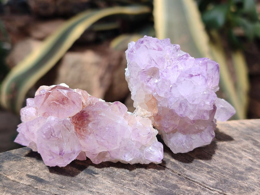 Natural Spirit Amethyst Clusters x 12 From Boekenhouthoek, South Africa - Toprock Gemstones and Minerals 