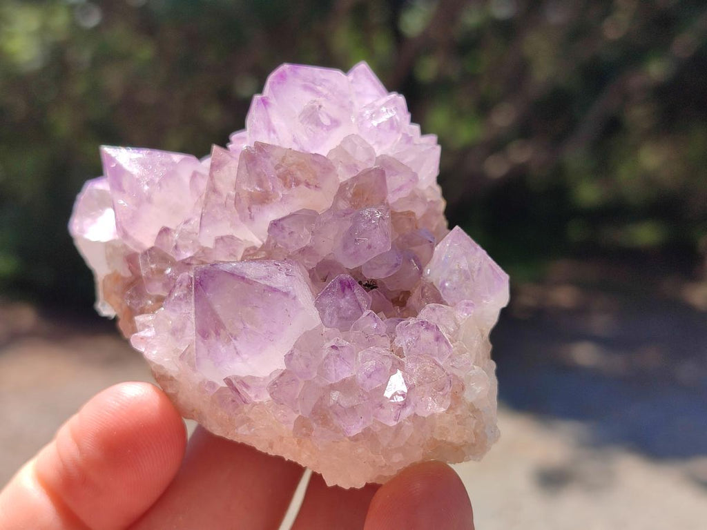 Natural Spirit Amethyst Clusters x 12 From Boekenhouthoek, South Africa - Toprock Gemstones and Minerals 