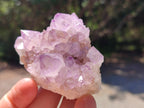 Natural Spirit Amethyst Clusters x 12 From Boekenhouthoek, South Africa - Toprock Gemstones and Minerals 