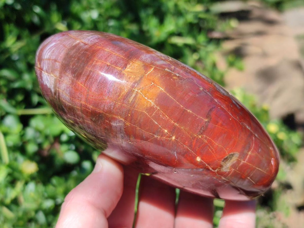 Polished Red Podocarpus Petrified Wood Standing Display Pieces x 3 From Mahajanga, Madagascar - Toprock Gemstones and Minerals 