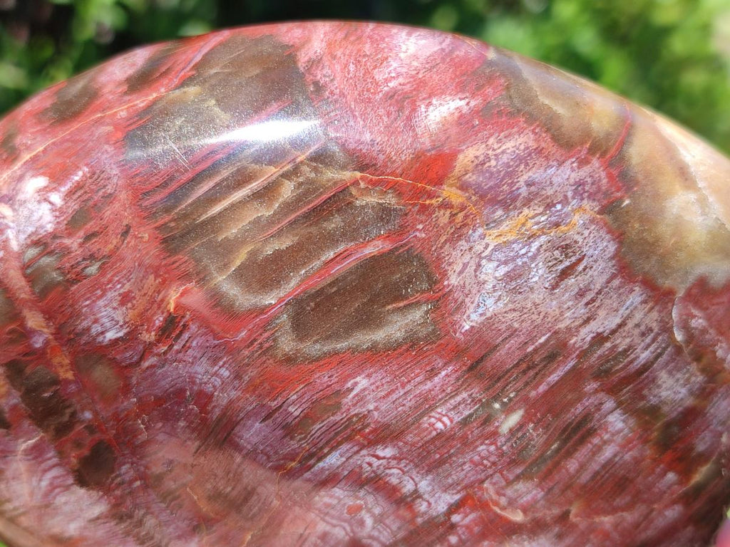 Polished Red Podocarpus Petrified Wood Standing Display Pieces x 3 From Mahajanga, Madagascar - Toprock Gemstones and Minerals 
