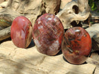 Polished Red Podocarpus Petrified Wood Standing Display Pieces x 3 From Mahajanga, Madagascar - Toprock Gemstones and Minerals 