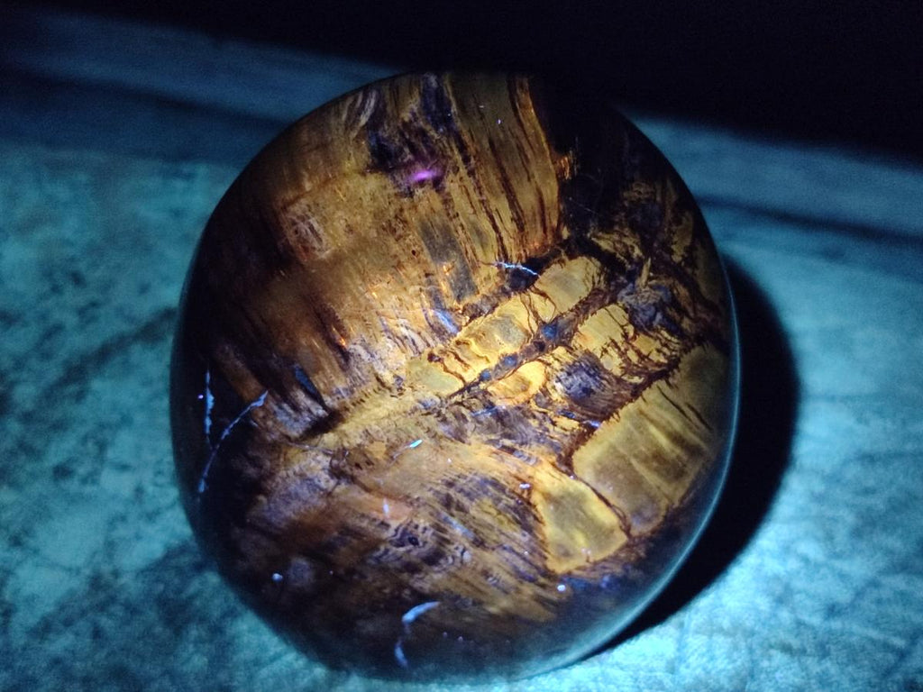 Polished Red Podocarpus Petrified Wood Standing Display Pieces x 3 From Mahajanga, Madagascar - Toprock Gemstones and Minerals 