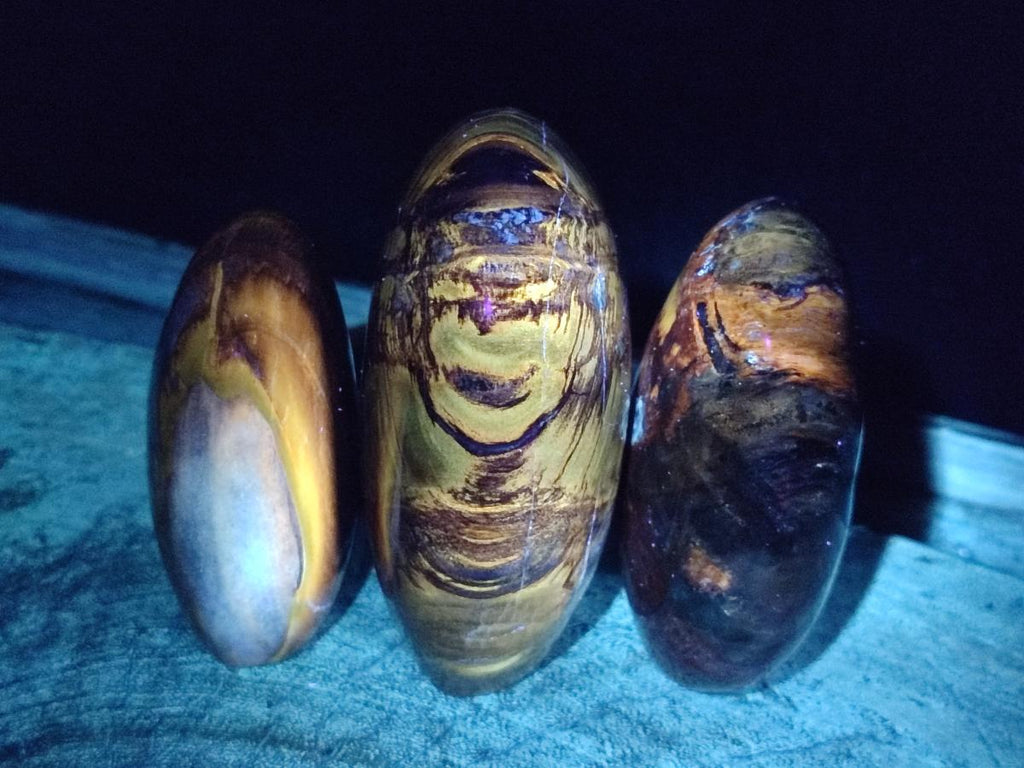Polished Red Podocarpus Petrified Wood Standing Display Pieces x 3 From Mahajanga, Madagascar - Toprock Gemstones and Minerals 