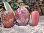 Polished Red Podocarpus Petrified Wood Standing Display Pieces x 3 From Mahajanga, Madagascar - Toprock Gemstones and Minerals 