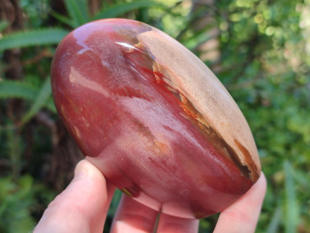 Polished Red Podocarpus Petrified Wood Standing Display Pieces x 3 From Mahajanga, Madagascar - Toprock Gemstones and Minerals 