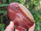 Polished Red Podocarpus Petrified Wood Standing Display Pieces x 3 From Mahajanga, Madagascar - Toprock Gemstones and Minerals 