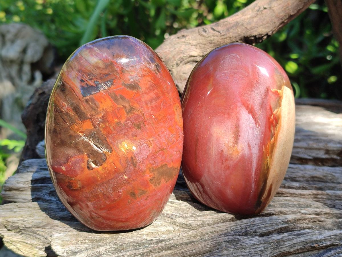 Polished Red Podocarpus Petrified Wood Standing Display Pieces x 3 From Mahajanga, Madagascar - Toprock Gemstones and Minerals 