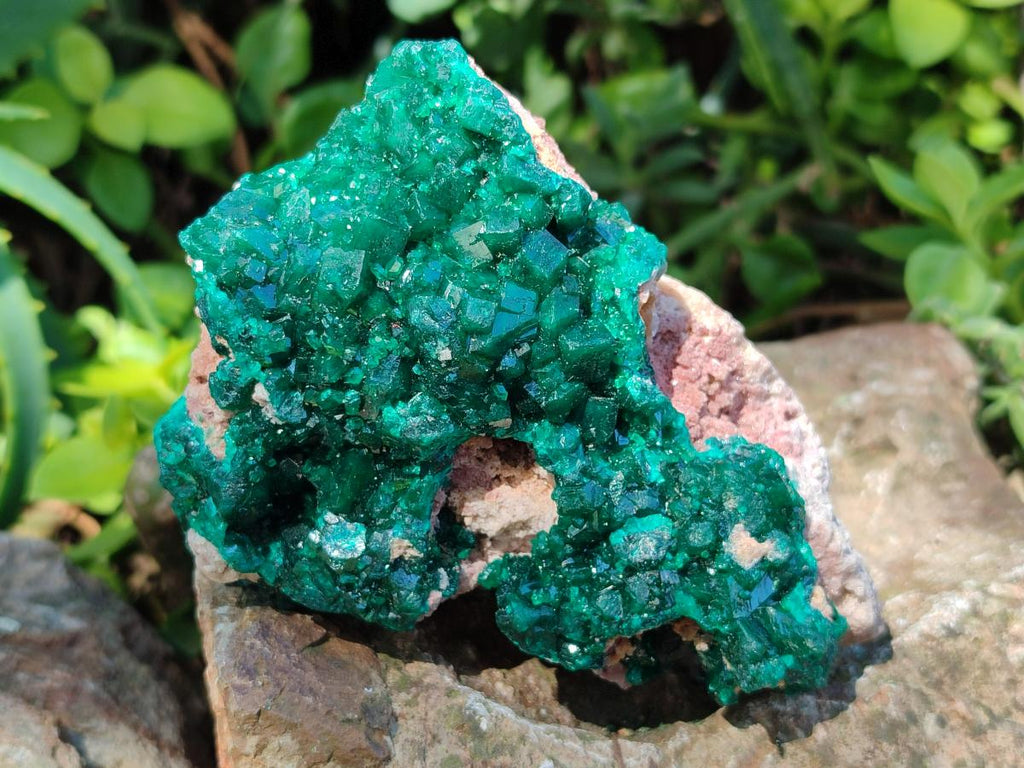 Natural Cabinet Size Dioptase Specimens on Dolomite Matrix x 2 From Tantara Mine, Congo - Toprock Gemstones and Minerals 