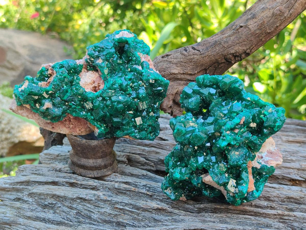 Natural Cabinet Size Dioptase Specimens on Dolomite Matrix x 2 From Tantara Mine, Congo - Toprock Gemstones and Minerals 