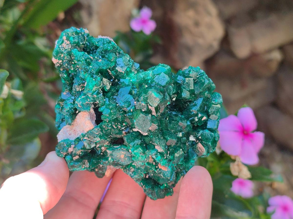 Natural Cabinet Size Dioptase Specimens on Dolomite Matrix x 2 From Tantara Mine, Congo - Toprock Gemstones and Minerals 