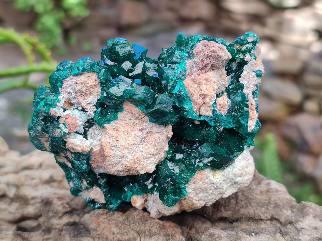 Natural Cabinet Size Dioptase Specimens on Dolomite Matrix x 2 From Tantara Mine, Congo - Toprock Gemstones and Minerals 