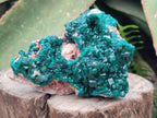 Natural Cabinet Size Dioptase Specimens on Dolomite Matrix x 2 From Tantara Mine, Congo - Toprock Gemstones and Minerals 