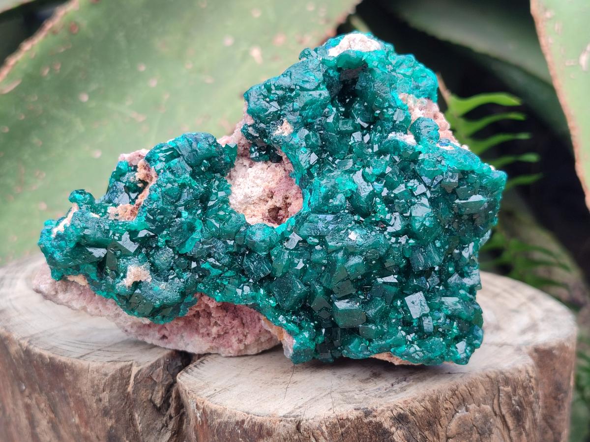 Natural Cabinet Size Dioptase Specimens on Dolomite Matrix x 2 From Tantara Mine, Congo - Toprock Gemstones and Minerals 