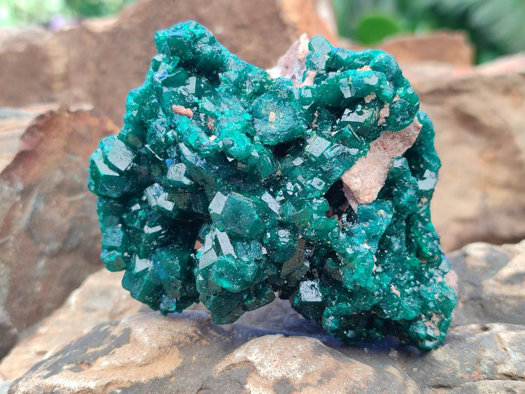 Natural Cabinet Size Dioptase Specimens on Dolomite Matrix x 2 From Tantara Mine, Congo - Toprock Gemstones and Minerals 