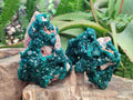 Natural Cabinet Size Dioptase Specimens on Dolomite Matrix x 2 From Tantara Mine, Congo - Toprock Gemstones and Minerals 