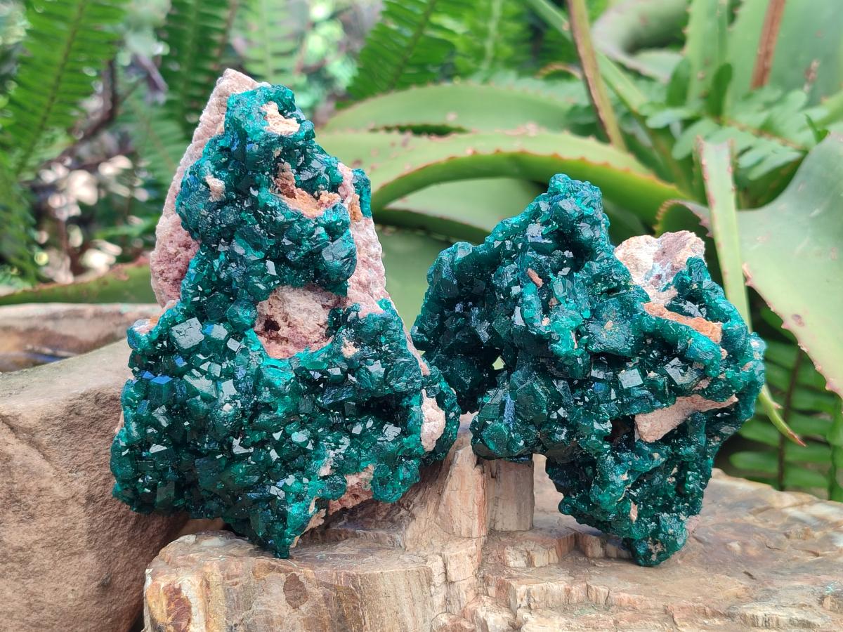 Natural Cabinet Size Dioptase Specimens on Dolomite Matrix x 2 From Tantara Mine, Congo - Toprock Gemstones and Minerals 