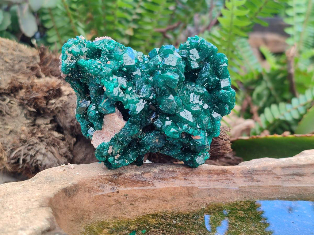 Natural Cabinet Size Dioptase Specimens on Dolomite Matrix x 2 From Tantara Mine, Congo - Toprock Gemstones and Minerals 
