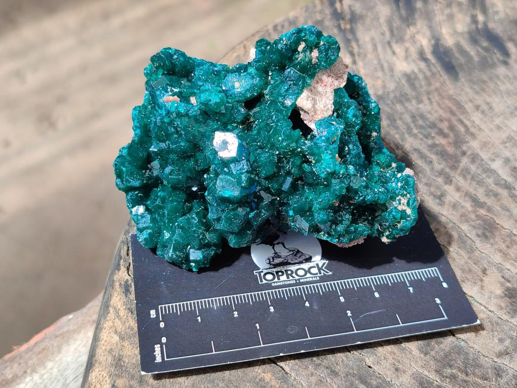 Natural Cabinet Size Dioptase Specimens on Dolomite Matrix x 2 From Tantara Mine, Congo - Toprock Gemstones and Minerals 