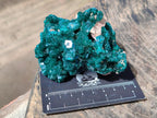 Natural Cabinet Size Dioptase Specimens on Dolomite Matrix x 2 From Tantara Mine, Congo - Toprock Gemstones and Minerals 