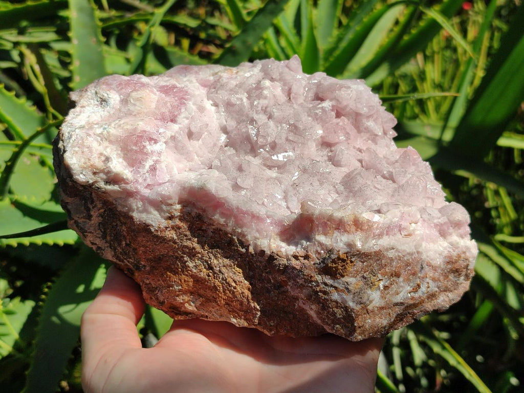 Natural Large Super Rare Cabinet Size Cobaltoan Rhodocalcite Specimen x 1 From Mashamba West, Congo - Toprock Gemstones and Minerals 