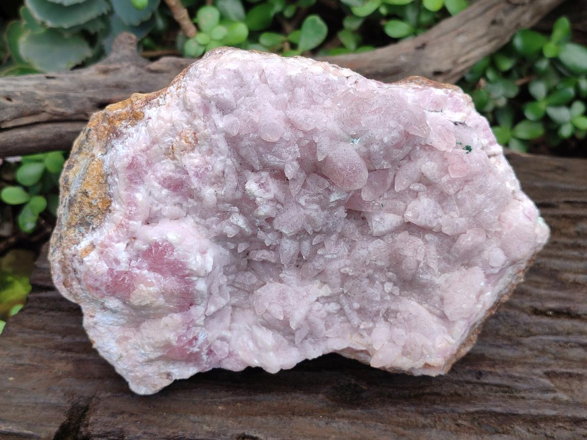 Natural Large Super Rare Cabinet Size Cobaltoan Rhodocalcite Specimen x 1 From Mashamba West, Congo - Toprock Gemstones and Minerals 