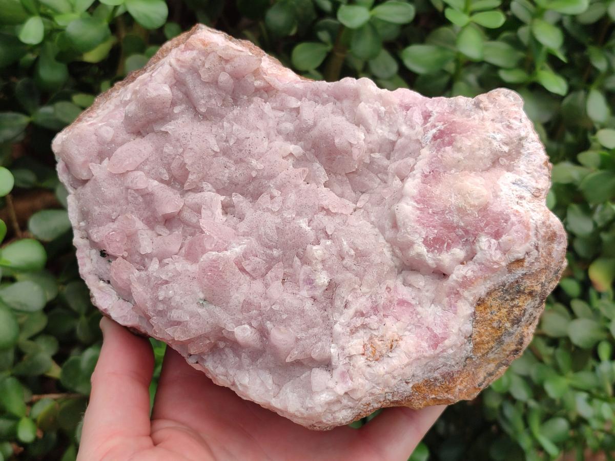 Natural Large Super Rare Cabinet Size Cobaltoan Rhodocalcite Specimen x 1 From Mashamba West, Congo - Toprock Gemstones and Minerals 