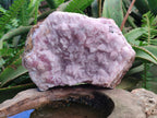 Natural Large Super Rare Cabinet Size Cobaltoan Rhodocalcite Specimen x 1 From Mashamba West, Congo - Toprock Gemstones and Minerals 