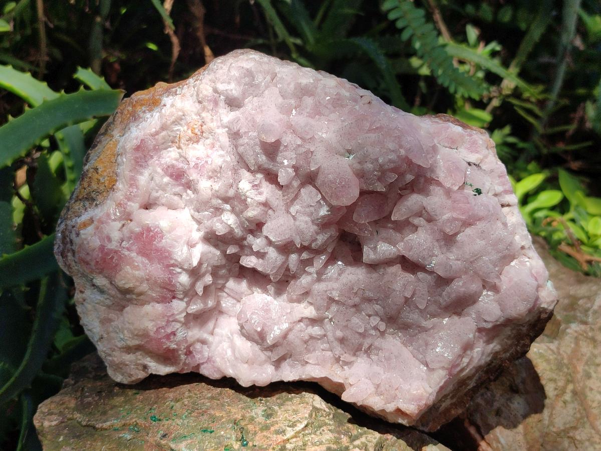 Natural Large Super Rare Cabinet Size Cobaltoan Rhodocalcite Specimen x 1 From Mashamba West, Congo - Toprock Gemstones and Minerals 