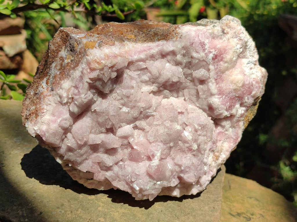 Natural Large Super Rare Cabinet Size Cobaltoan Rhodocalcite Specimen x 1 From Mashamba West, Congo - Toprock Gemstones and Minerals 
