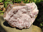 Natural Large Super Rare Cabinet Size Cobaltoan Rhodocalcite Specimen x 1 From Mashamba West, Congo - Toprock Gemstones and Minerals 