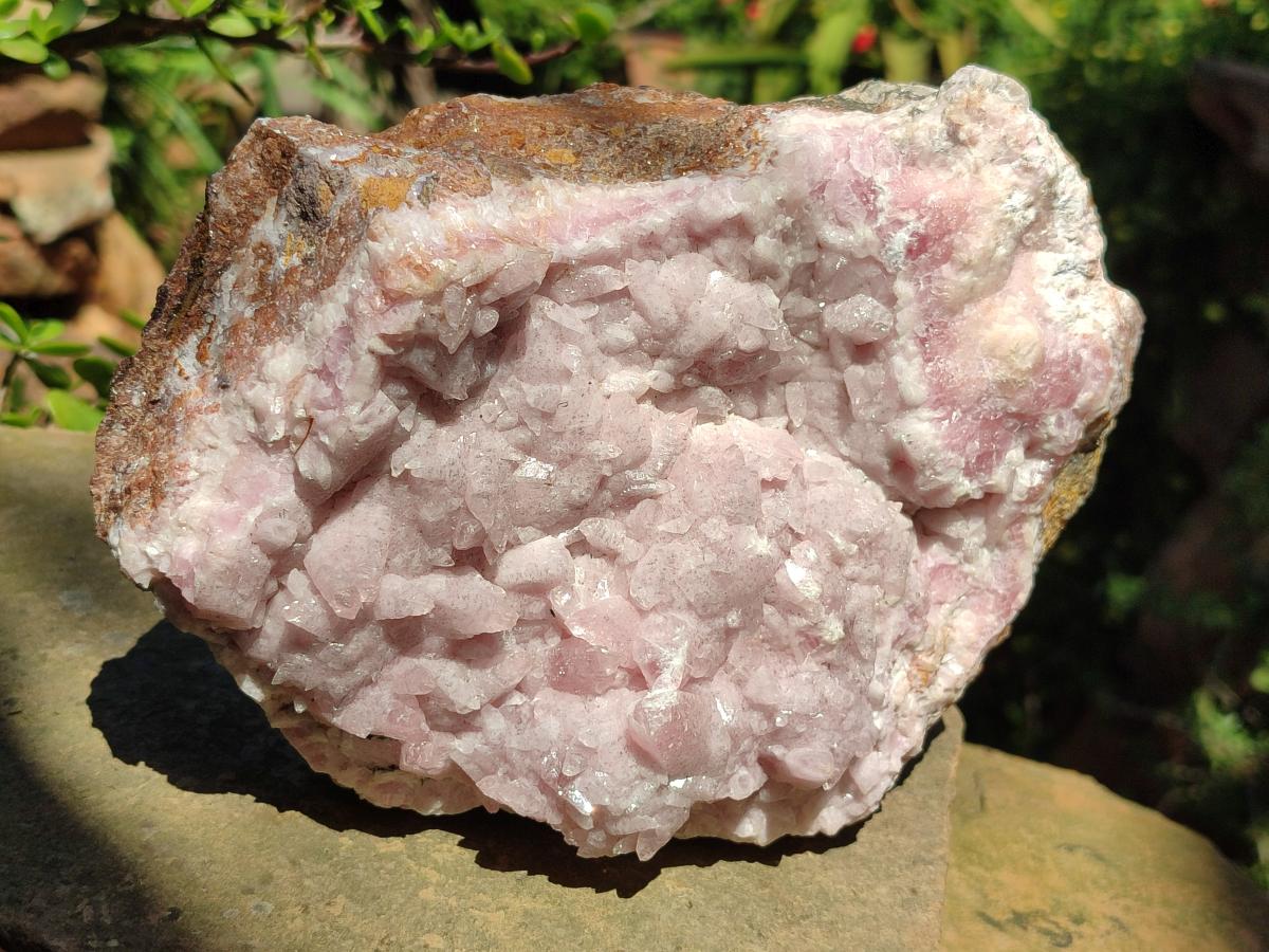 Natural Large Super Rare Cabinet Size Cobaltoan Rhodocalcite Specimen x 1 From Mashamba West, Congo - Toprock Gemstones and Minerals 