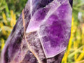 Polished Chevron Amethyst Display Crystals x 2 From Zambia - Toprock Gemstones and Minerals 