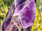 Polished Chevron Amethyst Display Crystals x 2 From Zambia - Toprock Gemstones and Minerals 