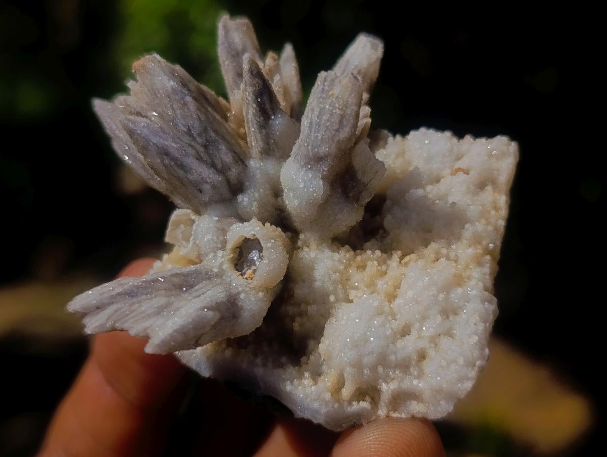 Natural Semi-Sceptre Spearhead Calcite Crystal Specimens x 24 From Albert's Mountain, Lesotho - Toprock Gemstones and Minerals 