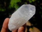 Natural Clear Mpika Quartz Crystals x 26 From Mpika, Zambia - Toprock Gemstones and Minerals 