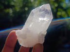 Natural Clear Mpika Quartz Crystals x 26 From Mpika, Zambia - Toprock Gemstones and Minerals 