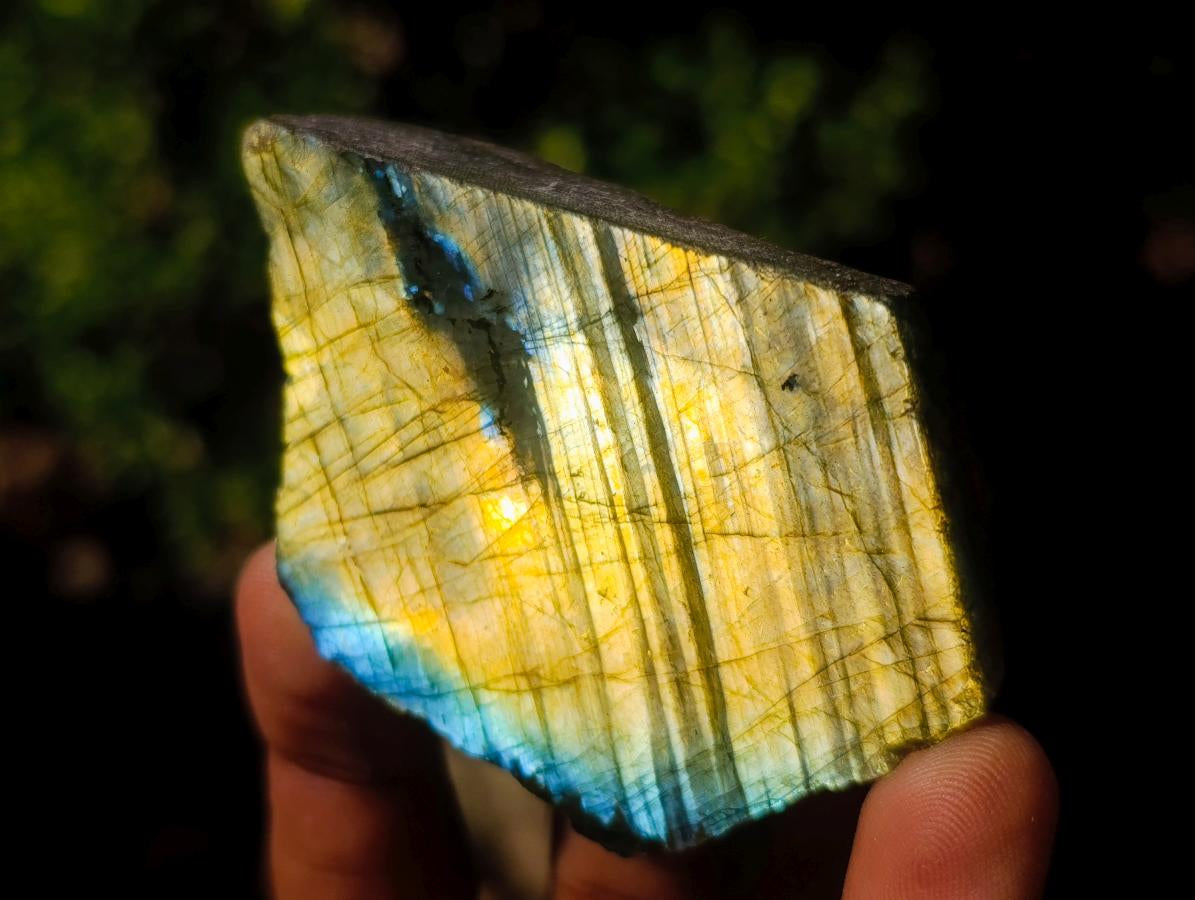 Polished One Side Labradorite Slices x 28 From Madagascar - Toprock Gemstones and Minerals 
