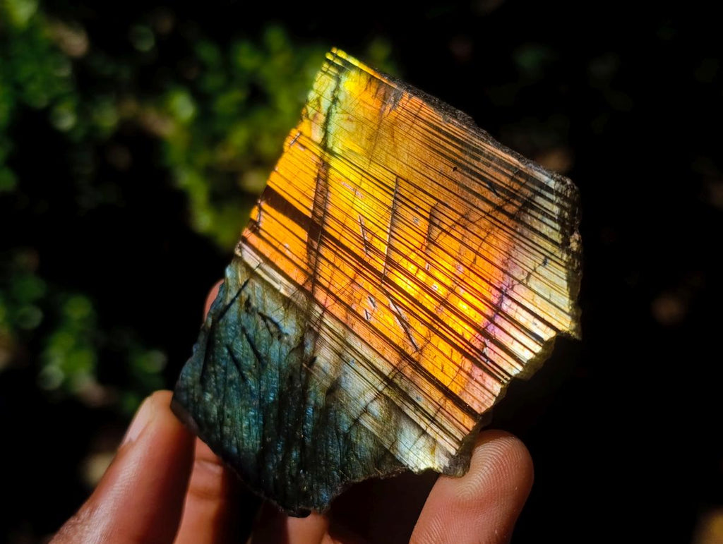 Polished One Side Labradorite Slices x 28 From Madagascar - Toprock Gemstones and Minerals 