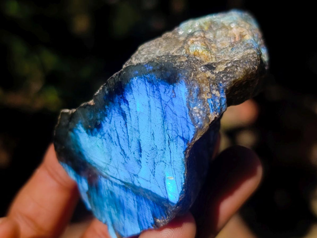 Polished One Side Labradorite Slices x 28 From Madagascar - Toprock Gemstones and Minerals 