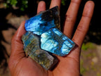 Polished One Side Labradorite Slices x 28 From Madagascar - Toprock Gemstones and Minerals 