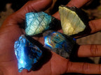 Polished One Side Labradorite Slices x 28 From Madagascar - Toprock Gemstones and Minerals 