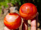 Polished Carnelian Agate Gemstone Spheres x 12 From Madagascar - Toprock Gemstones and Minerals 