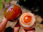 Polished Carnelian Agate Gemstone Spheres x 12 From Madagascar - Toprock Gemstones and Minerals 