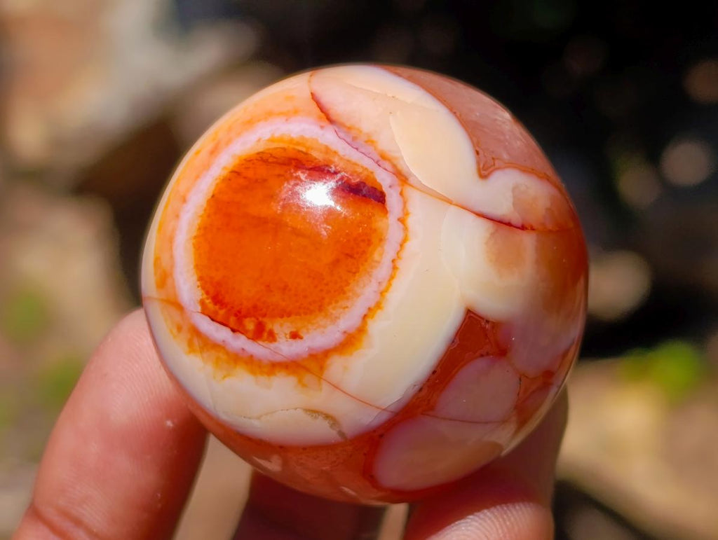 Polished Carnelian Agate Gemstone Spheres x 12 From Madagascar - Toprock Gemstones and Minerals 