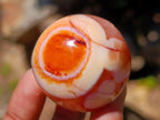 Polished Carnelian Agate Gemstone Spheres x 12 From Madagascar - Toprock Gemstones and Minerals 