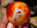 Polished Carnelian Agate Gemstone Spheres x 12 From Madagascar - Toprock Gemstones and Minerals 